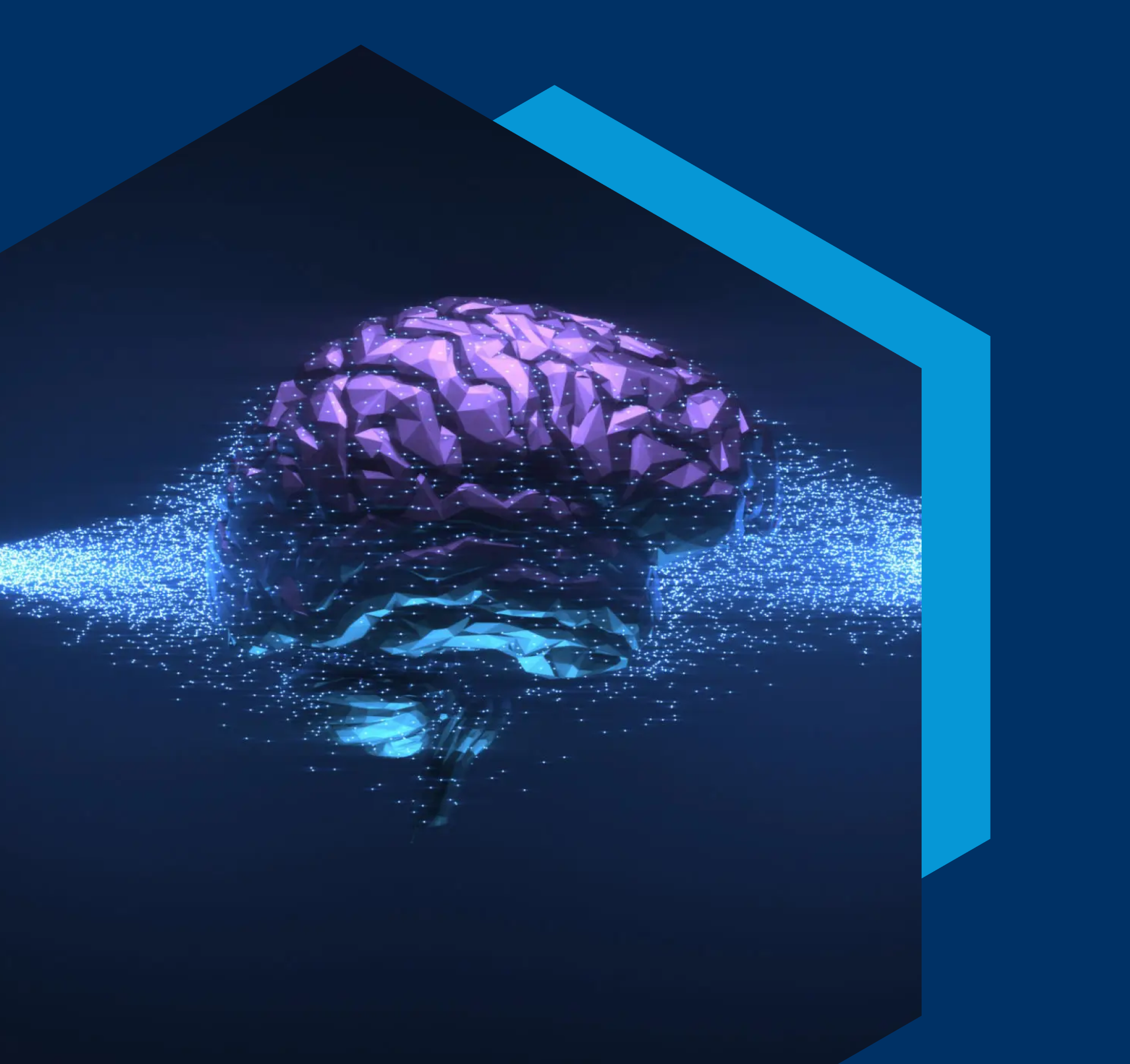 highlight-16_image (1)